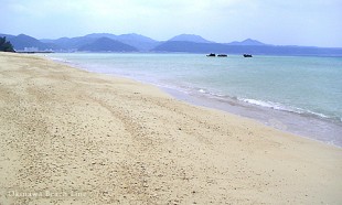名護市宇茂佐付近のビーチ